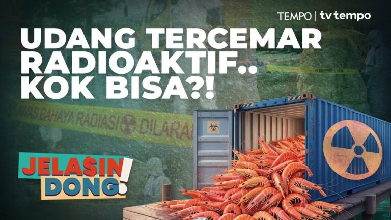 Youtube Thumnail image of : Radioaktif di Udang Kita | Jelasin Dong!