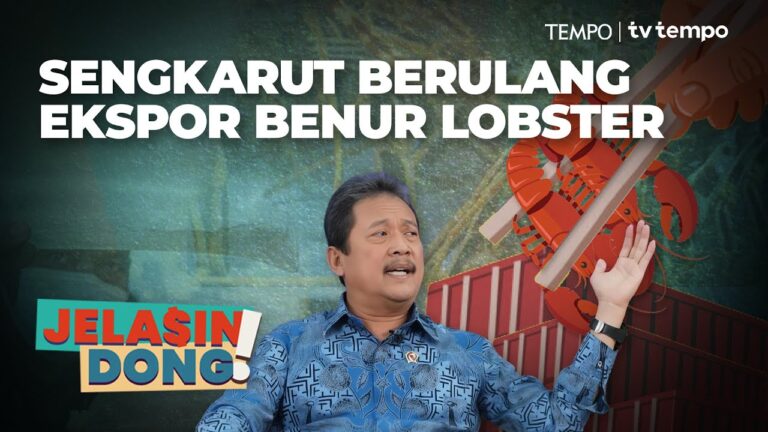 Youtube Thumnail image of : Dugaan Kerugian Negara di Ekspor Benur Lobster | Jelasin Dong!