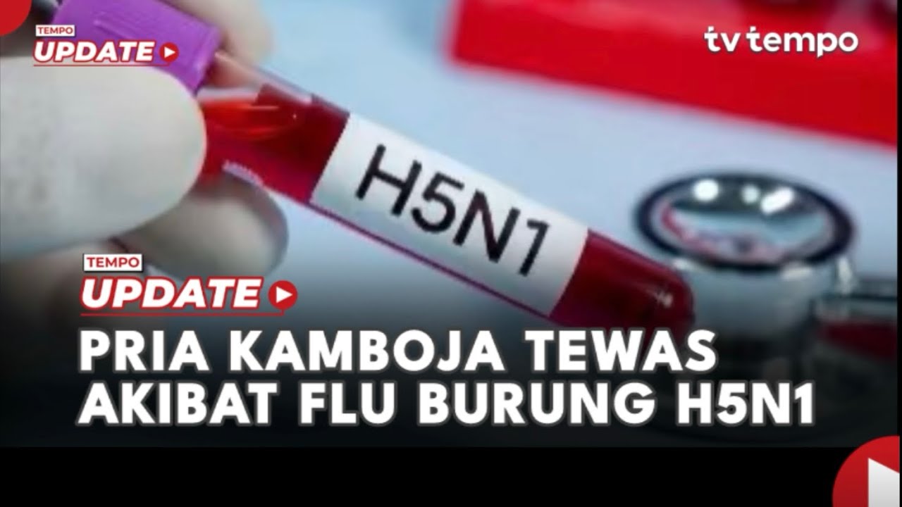 Youtube Thumnail image of : Pria Kamboja Tewas Akibat Flu Burung H5N1