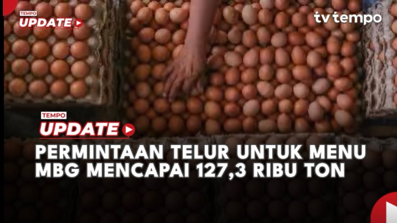 Youtube Thumnail image of : Permintaan Telur untuk Menu MBG Mencapai 127,3 Ribu Ton