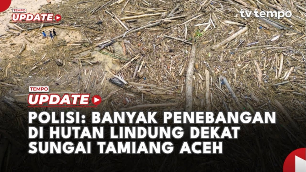 Youtube Thumnail image of : Polisi: Banyak Penebangan di Hutan Lindung Dekat Sungai Tamiang Aceh
