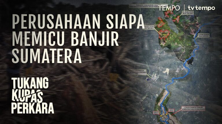 Youtube Thumnail image of : Pembalakan Hutan 31 Perusahaan Pemicu Bencana Sumatera | Tukang Kupas Perkara