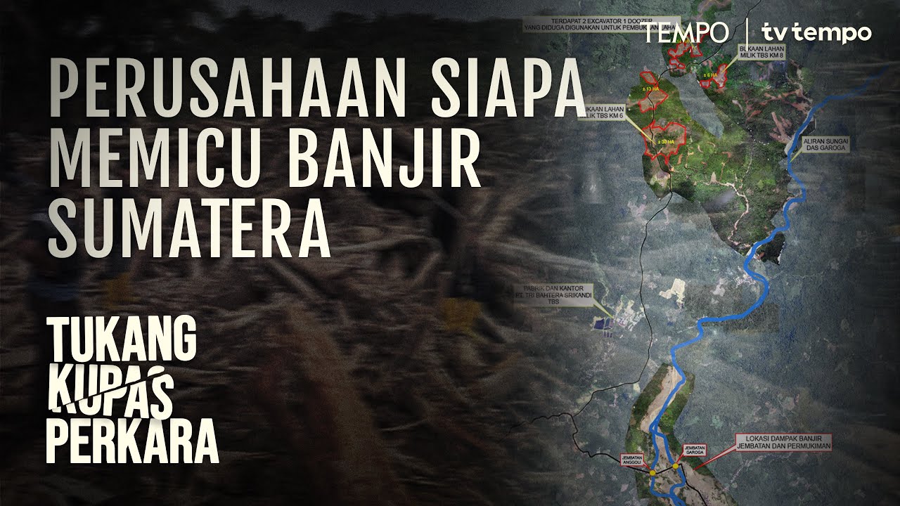 Youtube Thumnail image of : Pembalakan Hutan 31 Perusahaan Pemicu Bencana Sumatera | Tukang Kupas Perkara
